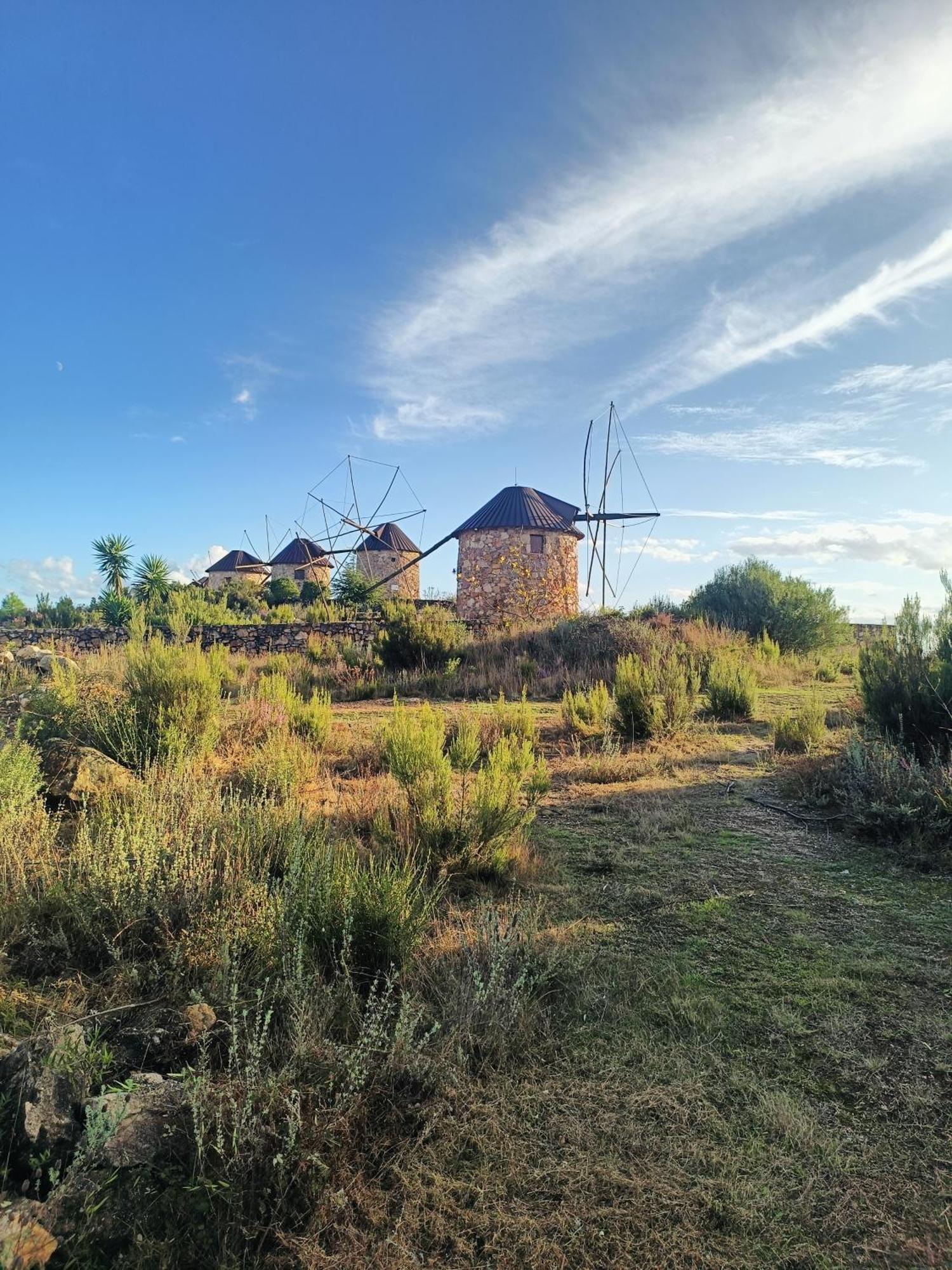 Moinho Da Alfazema Villa Penacova Buitenkant foto